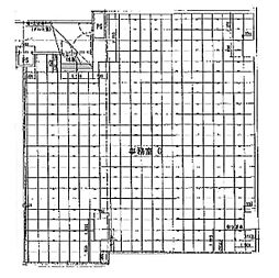 ローランドミューズ 2階/203