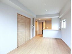 サンテドール 501