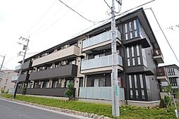 ステラタウン　プルケリマ