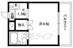 コットンハウス95 3階/-