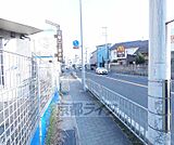 目の前の道路です。