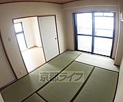 別の角度からの写真です。