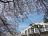 周辺：中野区立明和中学校まで1853m