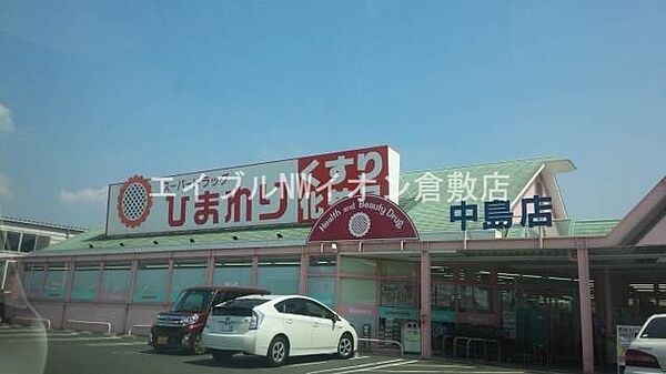 画像26:スーパードラッグひまわり中島店 1182m