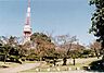 周辺：【公園】八幡山公園まで588ｍ