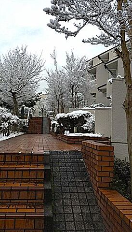 その他 グリーンヒル寺田87号棟 1階/-