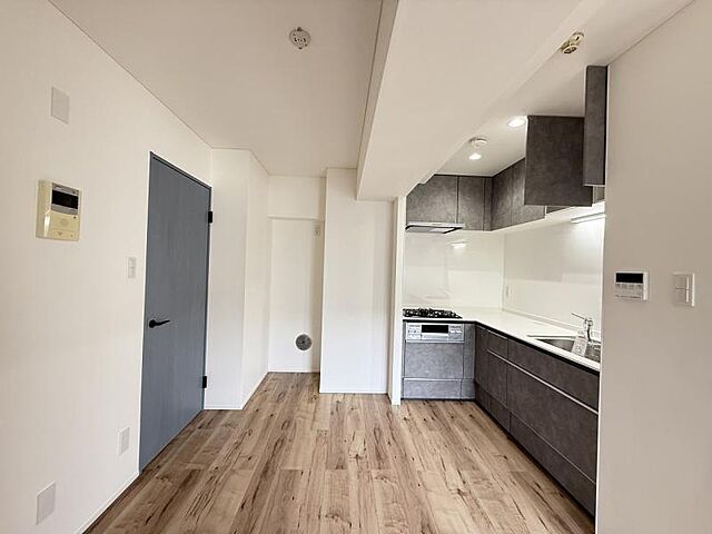 キッチン ドラゴンマンション橋本七番館 2階/-