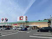 平和堂 甲西店（4675m）