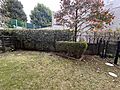 専用庭