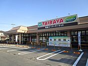 エコスTAIRAYA（たいらや） 川島店（311m）