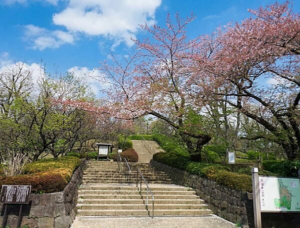 周辺を拡大表示