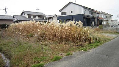 外観：外観