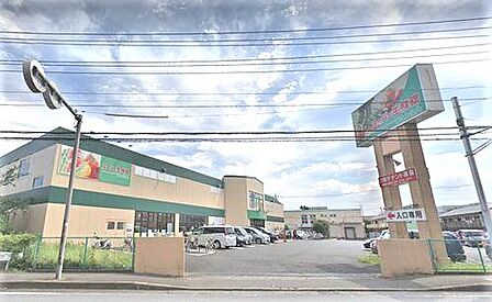 【スーパー生鮮館TAIGA(タイガ) 海老名下今泉店】1110m 生鮮食品の品質が良く特に魚は種類が豊富で安いです。店員さんも感じが良く気持ちよく買い物ができます。