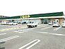周辺：【いなげや　厚木三田店】600ｍ　隣にはドラッグストアもあります。店内は清掃が行き届いており、品揃えも豊富です。店員さんも親切丁寧な対応をしてくれます。