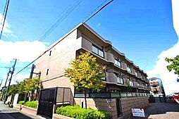 パルミラライフ