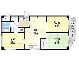 エレガンス松本2号館 4階/-