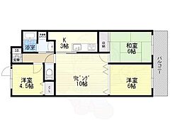 ロイヤルガーデン 5階/-