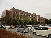 八潮市役所 1510m