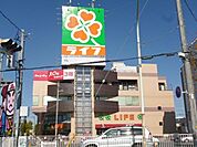 ライフ 吉川駅(JR 武蔵野線) 750m
