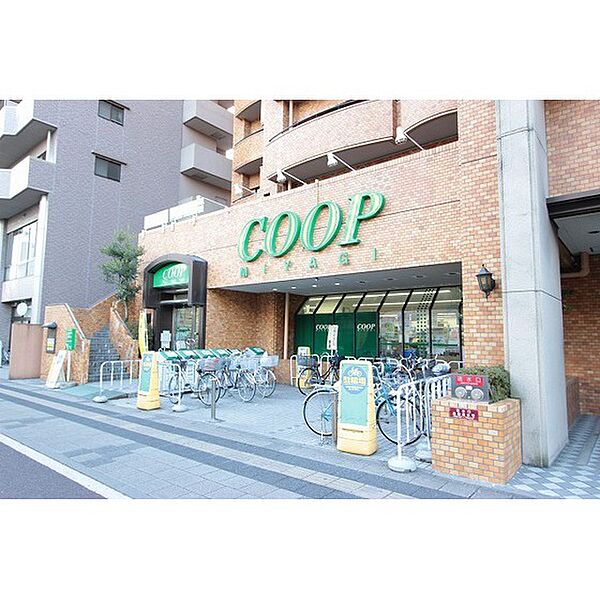 画像16:スーパー「COOP　MIYAGI木町店まで227ｍ」