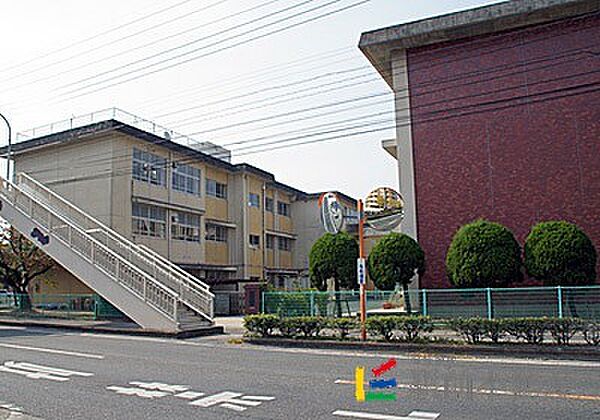 画像26:鍋島小学校 