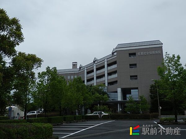 エバーフェニックス