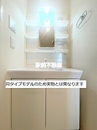 Padre・Riz・blanc