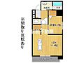 PLUMERIA駅南6階8.1万円