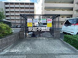 ピュアライヴII