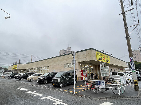 スカイヴィレッジ迫壱番館