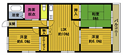 レイフハーメイン諏訪 3LDKの間取図画像