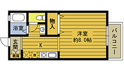 🉐敷金礼金0円！🉐セジュールマキ37番館