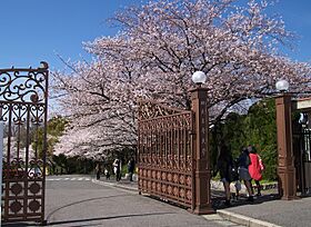 レーベンスラウム  ｜ 大阪府羽曳野市はびきの４丁目（賃貸マンション1K・3階・24.00㎡） その29