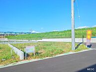 埼玉県春日部市新宿新田：物件画像