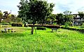 子の澤公園 徒...