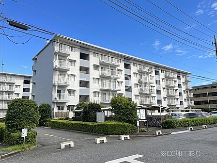 溢れる陽光でご家族の笑顔も輝く 