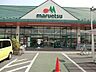 周辺：スーパー 1100m マルエツ幸手上高野店