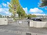 周辺：中学校 1300m 柏市立南部中学校