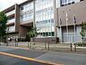 周辺：小学校 300m 足立区立西新井小学校