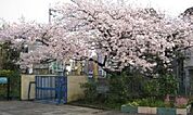 寝屋川市立点野小学校（1207m）