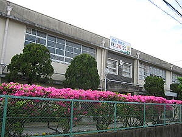 画像16:寝屋川市立第三中学校（198m）