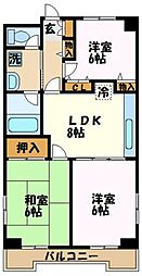 カブラキビルパークアベニュー市ケ尾 3DKの間取図画像