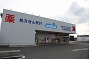 ドラッグストア