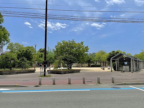 周辺を拡大表示