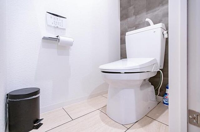 トイレ ホワイトパレスシンワ 5階/-