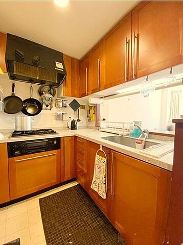 キッチン アクシルコート上野 5階/-