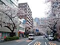 中野通り沿いに...