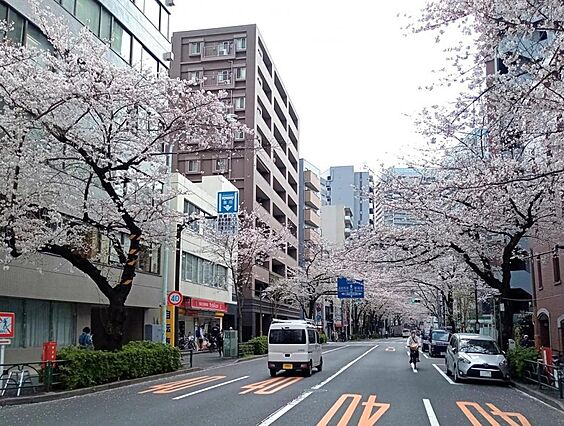 中野通り沿いに...
