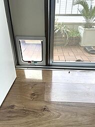 室内の画像