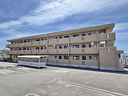 エテルノルーチェII 302